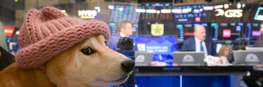Dogwifhat: Chú chó đội mũ len thống trị Solana 2 Câu chuyện của Dogwifhat