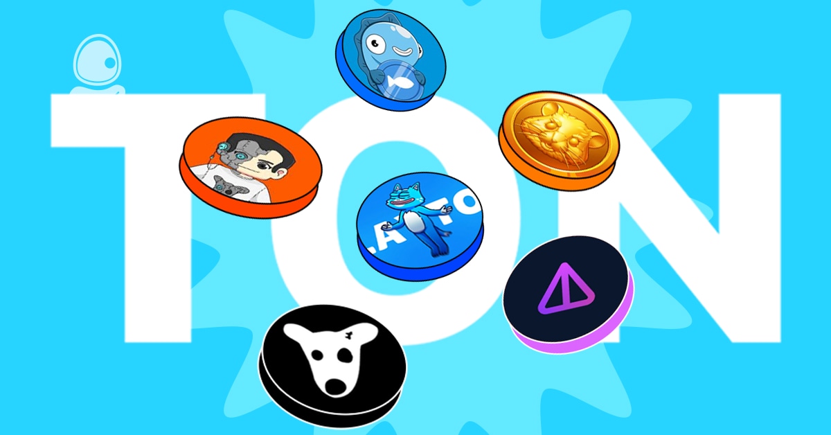 Meme coin hệ TON
