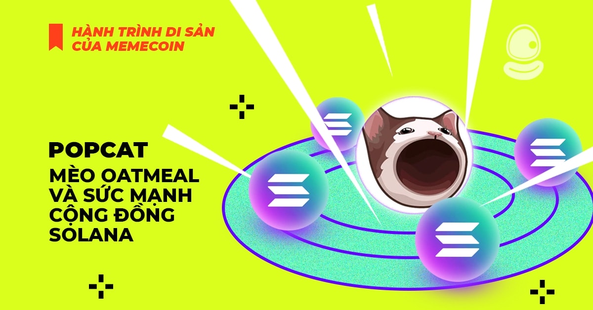 Popcat: Mèo Oatmeal và sức mạnh cộng đồng Solana