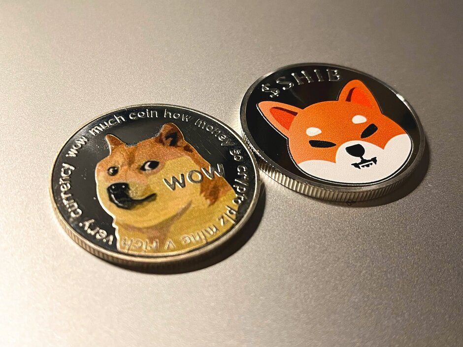 Floki Inu: Chú chó của Elon Musk với tham vọng Metaverse 3 Floki Inu và cuộc chiến với Shiba Inu
