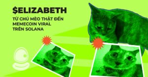 $Elizabeth: Từ chú mèo thật đến memecoin viral trên Solana