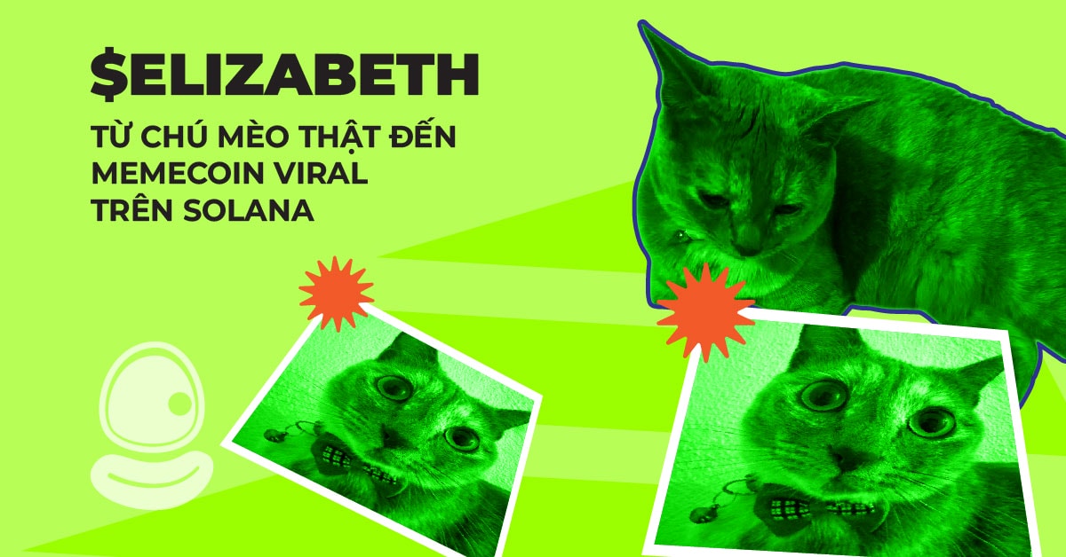 $Elizabeth: Từ chú mèo thật đến memecoin viral trên Solana 1 $Elizabeth: Từ chú mèo thật đến memecoin viral trên Solana