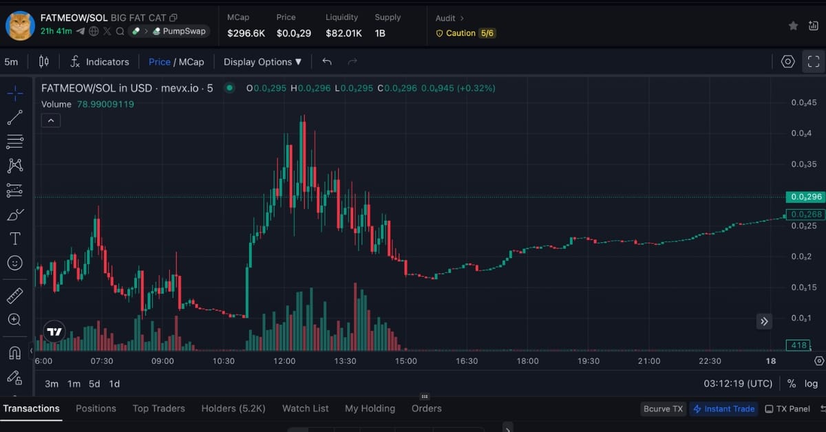 $FATMEOW: Big Fat Cat và hành trình của những giấc mơ trong thế giới crypto 5 $FATMEOW chart (Nguồn: MevX)
