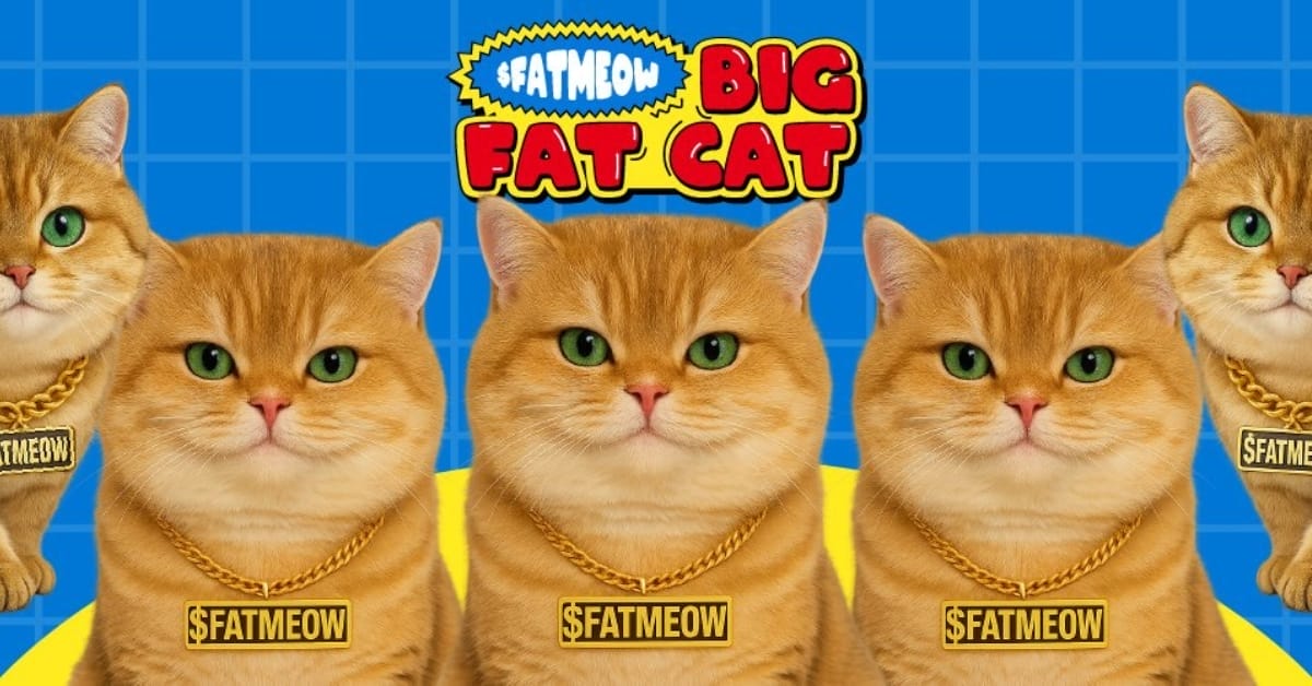 $FATMEOW: Big Fat Cat và hành trình của những giấc mơ trong thế giới crypto 4 Khởi nguồn của Big Fat Cat