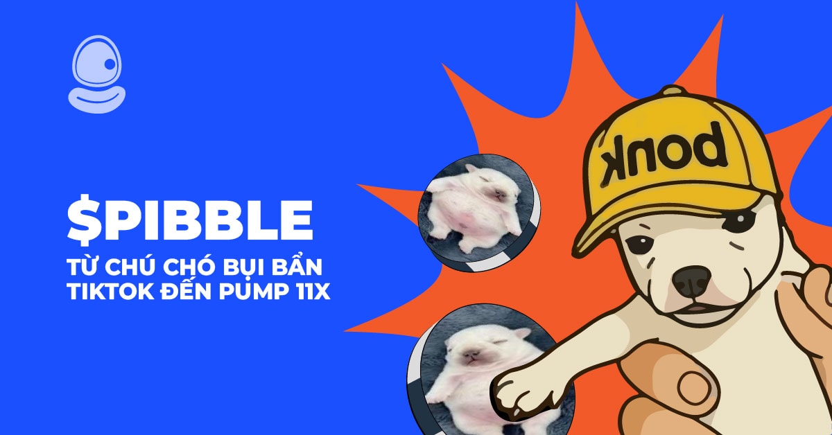 $Pibble: Từ chú chó bụi bẩn TikTok đến Pump 11x