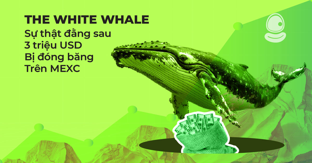 The White Whale Thumb