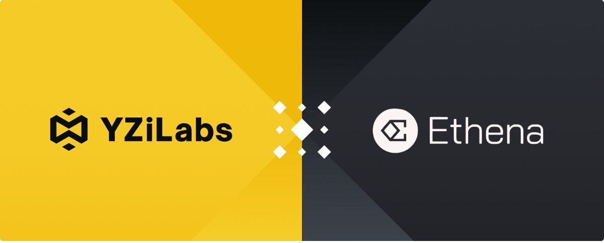 YZi Labs 11