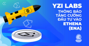 YZi Labs Thumb