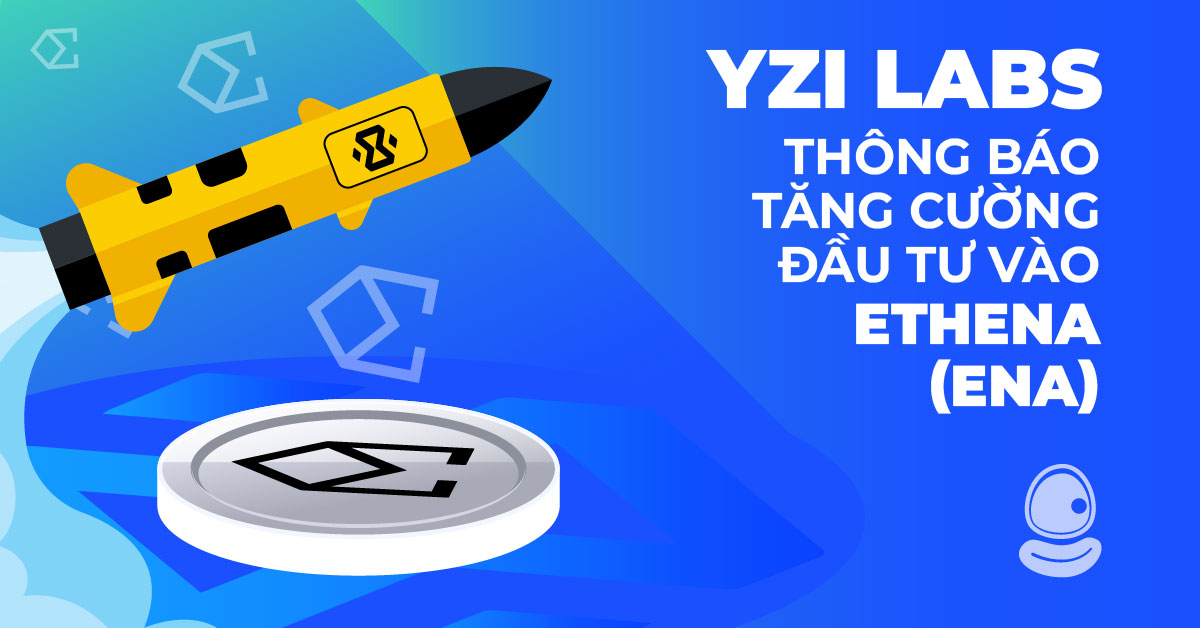 YZi Labs Thumb