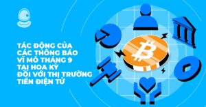 Thông báo vĩ mô thumb