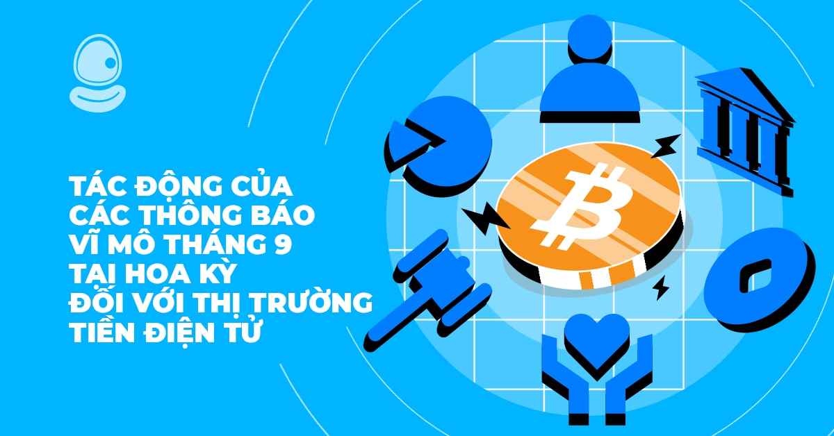 Thông báo vĩ mô thumb